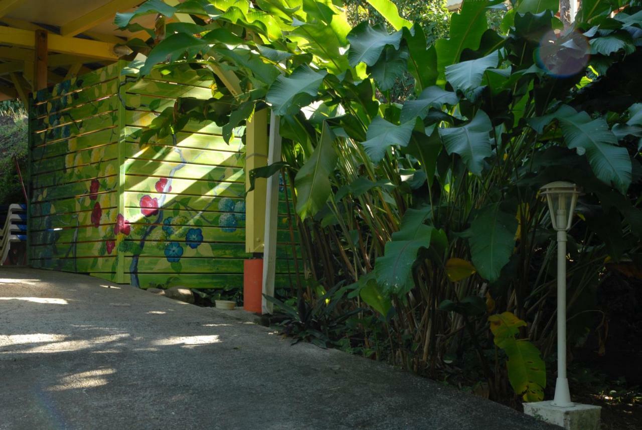Green House Deshaies Bagian luar foto
